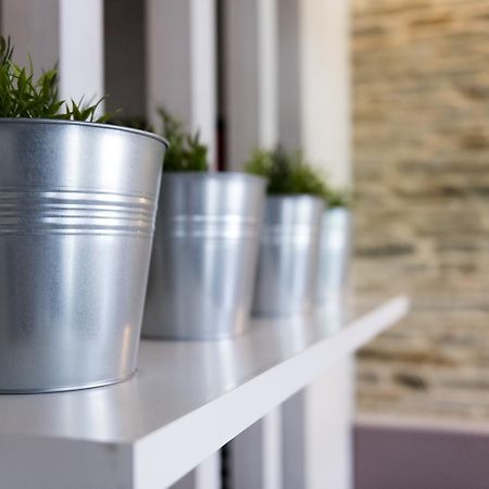 Albergue Goas Abadín Kültér fotó